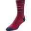 Pearl Izumi Elite Tall Socks in Red