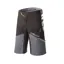 Alpinestars Drop Pro Shorts In Black