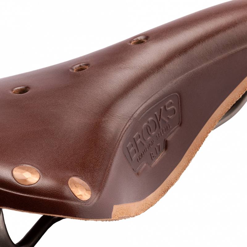 Brooks B17 Special Titanium Saddle in Brown-5