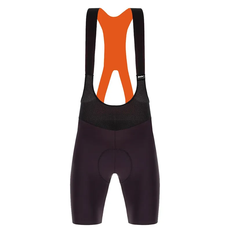 Santini Redux Fortuna Mens Bibshorts in Purple