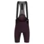 Santini Tono Puro Mens Bibshorts in Purple