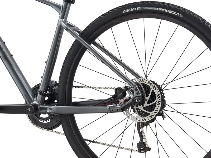 2021 Giant Roam 2 Disc Hybrid Bike in Grey