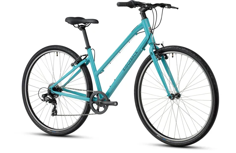 Bike Rb 21 Comet Open Frame Xl Green X-Large-1