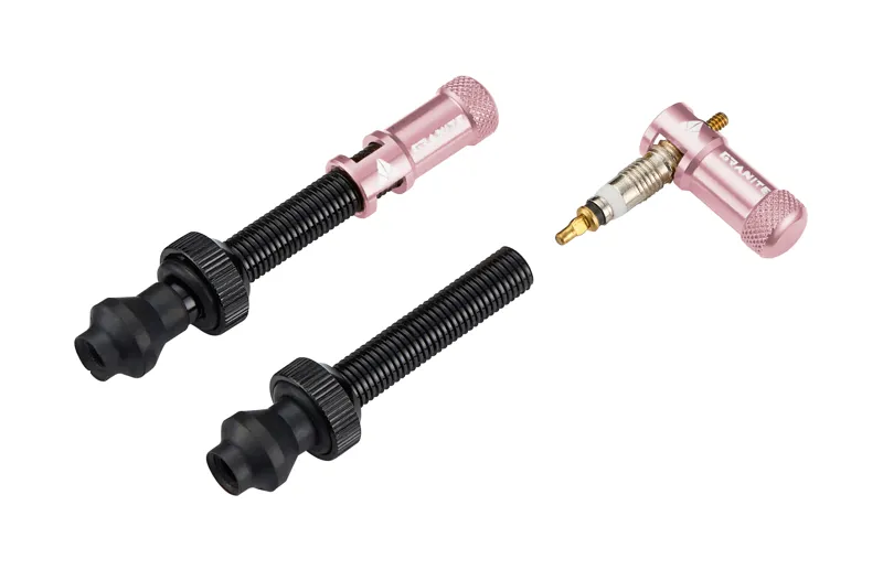 Granite Valve Cap And Removal Tool Inc Valve Stem In Pink