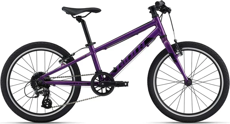 Giant ARX 20 Kid's Bike in Purple
