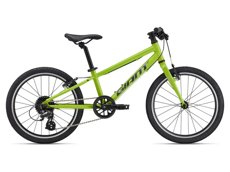 Giant ARX 20 Kids Bike In Lime Punch