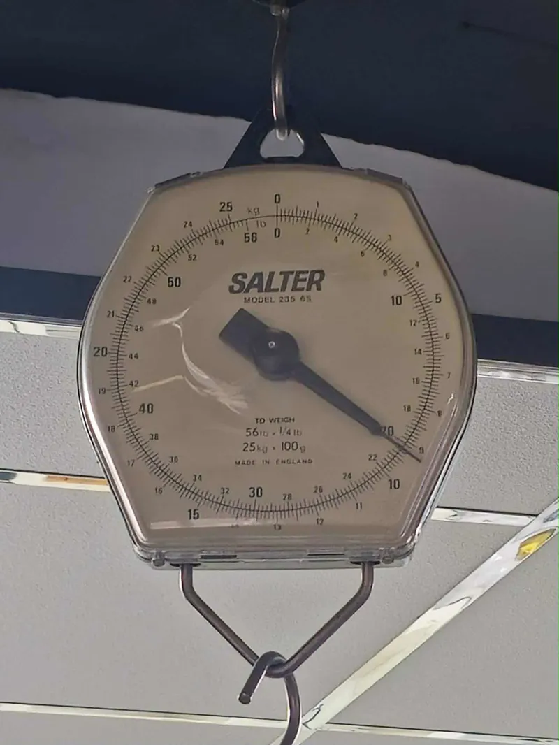 Giant Propel Advanced 2 Road Bike In Gloss Carbon Smoke-2