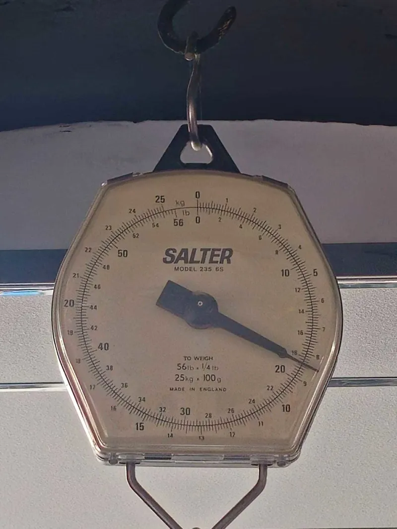 Giant Propel Advanced Pro 1 Road Bike in Carbon-2