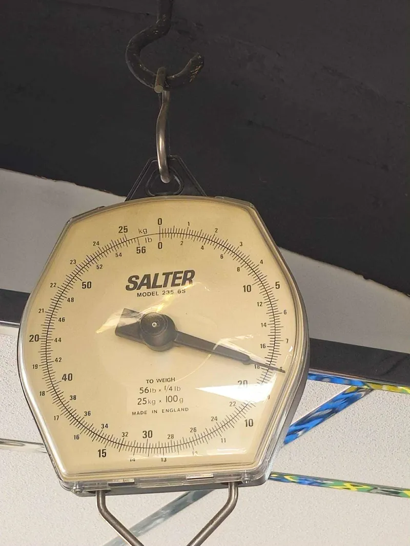 Giant TCR Advanced 0 DI2 Road Bike In Gloss Frost Silver/Cold Iron-2