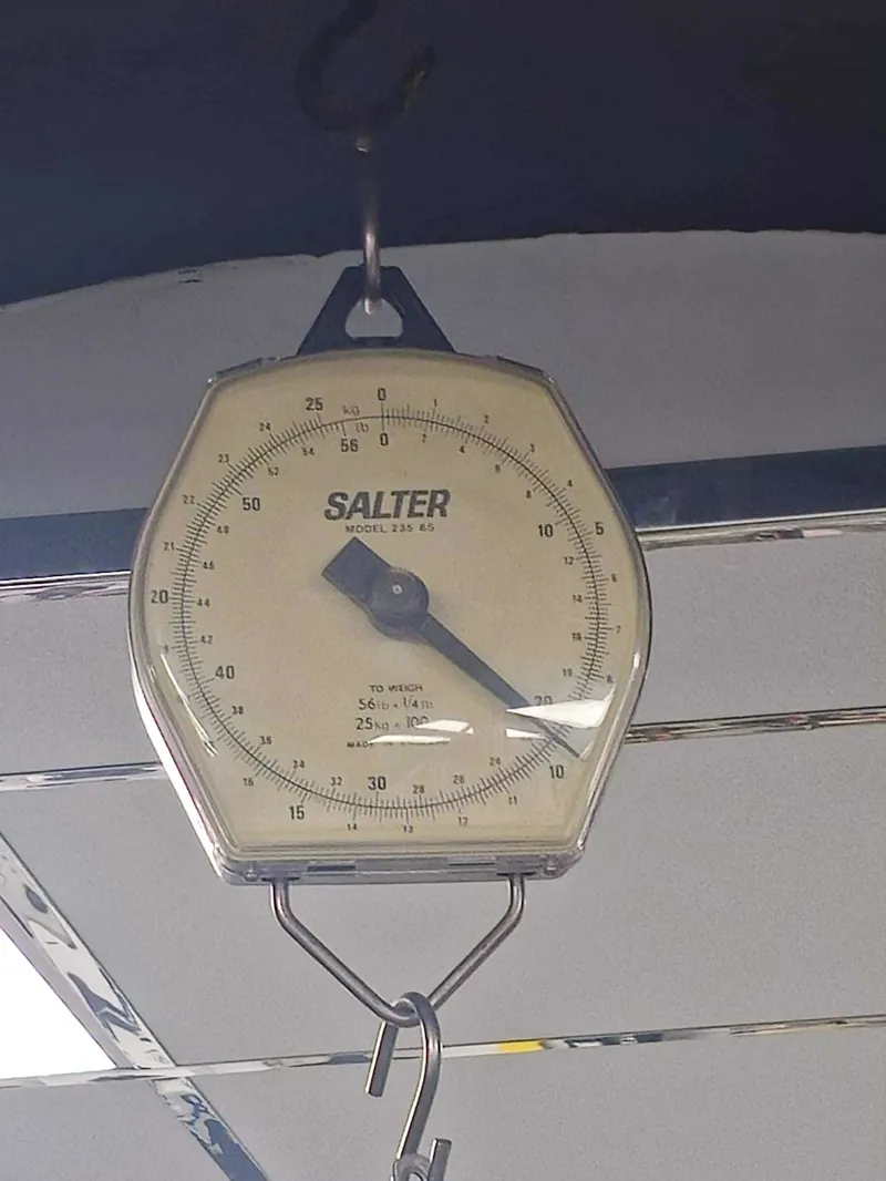 Giant Revolt Advanced 2 Gravel Bike In Gloss Carbon-2