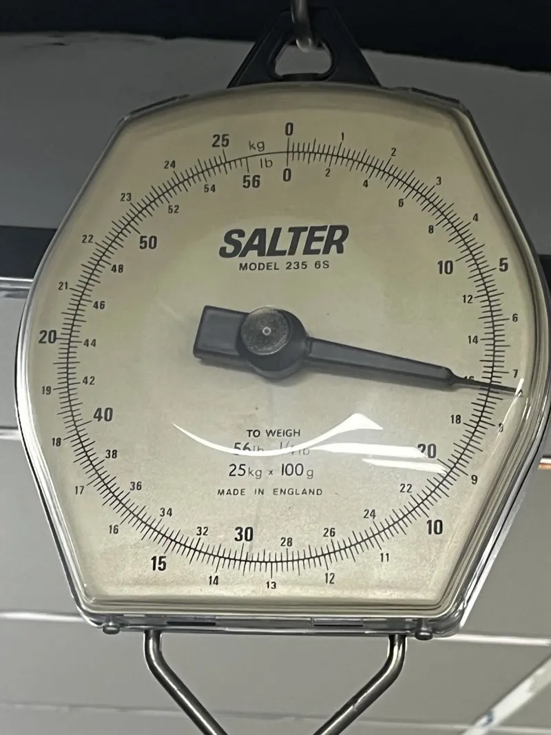 Bianchi Specialissima Repato Corse CV Shimano Dura-Ace Di2 12speed 53cm-1