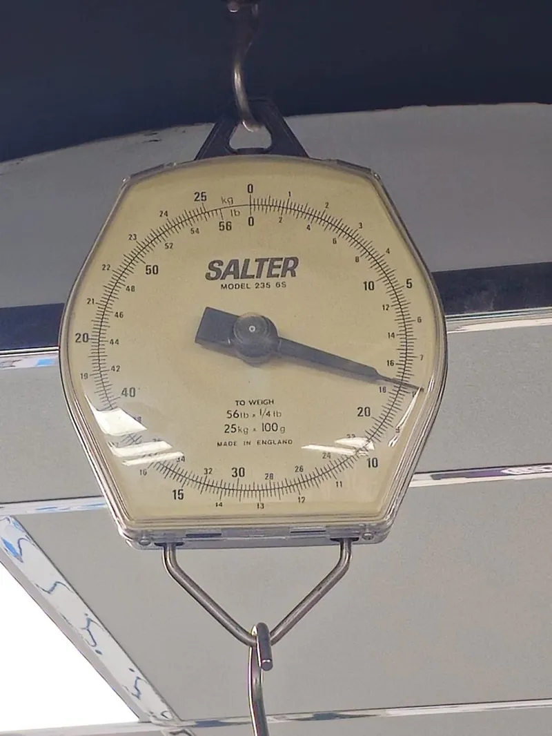 Bianchi Specialissima Comp Shimano Ultegra Di2 Disc Road Bike Size 55cm Only One Left-2