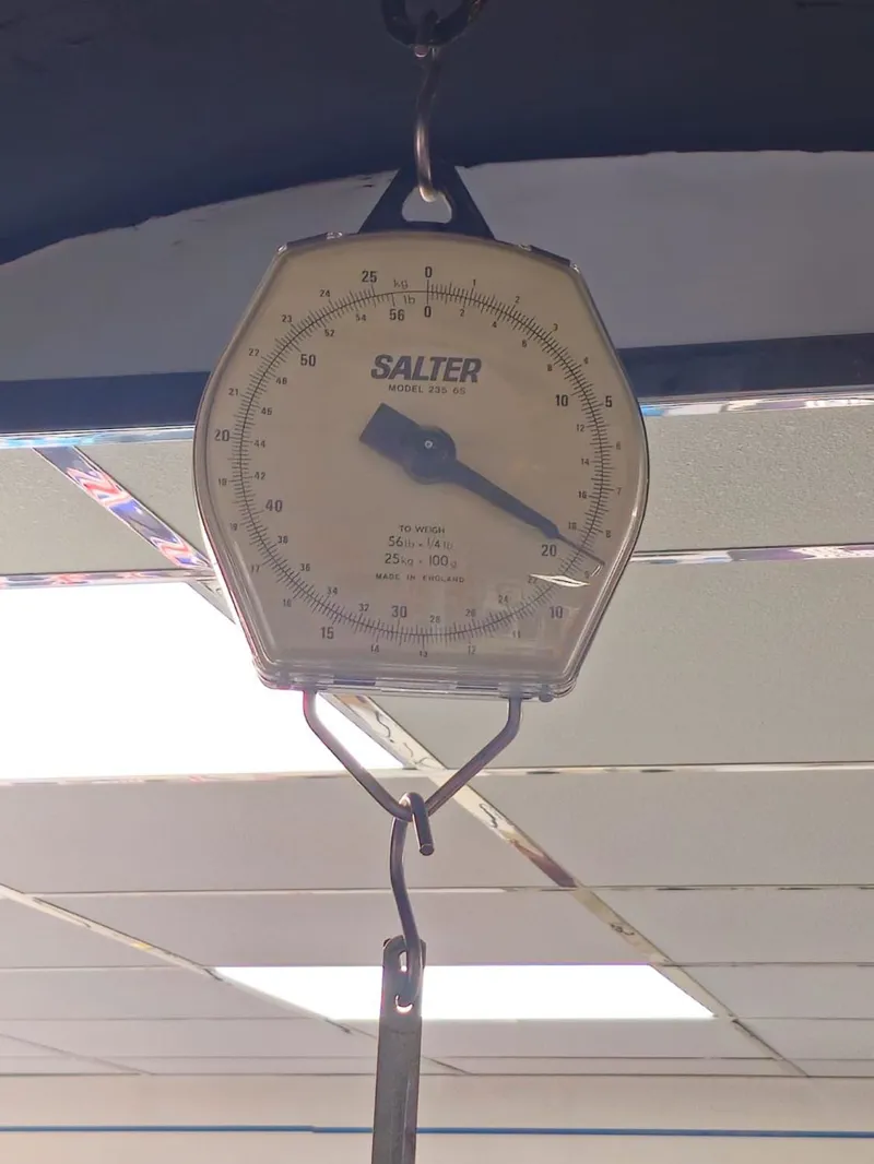 Giant Propel Advanced 1 Road Bike in Aerospace Blue-2