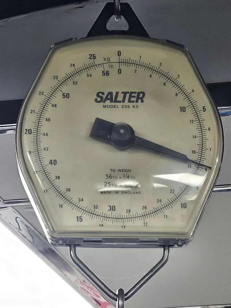 Bianchi Specialissima CV Shimano 105 Di2 Disc R 400 Alloy Wheels Road Bike Dark Green Size 47cm-1