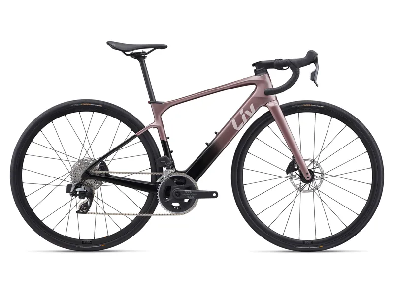 Avail Advanced E+ Elite 2 25km/H Iron Rouge/Carbon Smoke