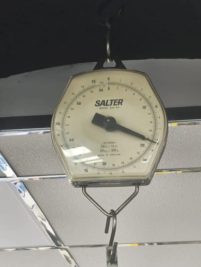 Bianchi INFINITO PRO ULTEGRA Di2 CV 4iiii Powermeter Road Bike 2026-2