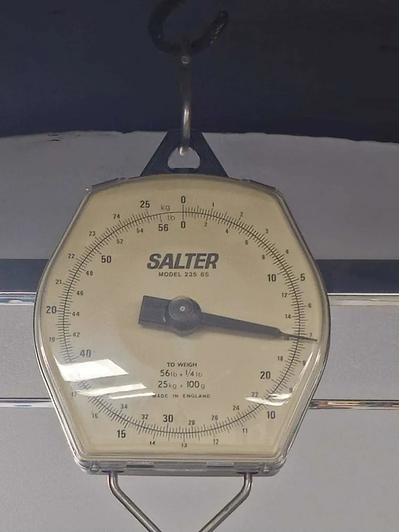 Bianchi Specialissima RC Pantani  2026  Limited Edition. Only 101 Bikes Campagnolo Super Record 13 Speed-2