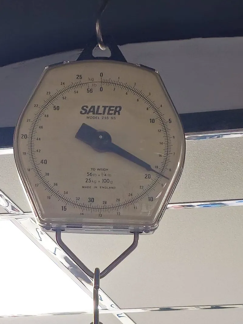 Propel Advanced Pro 1 Road Bike in Phoenix Fire Size Medium Only-2