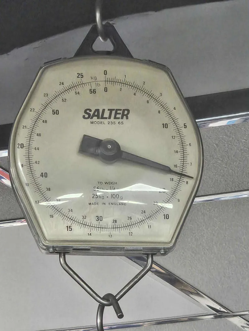 Bianchi Specialissima Pro CV Ultegra Di2  2026 Blue Purple - Chrome  Full Glossy-2