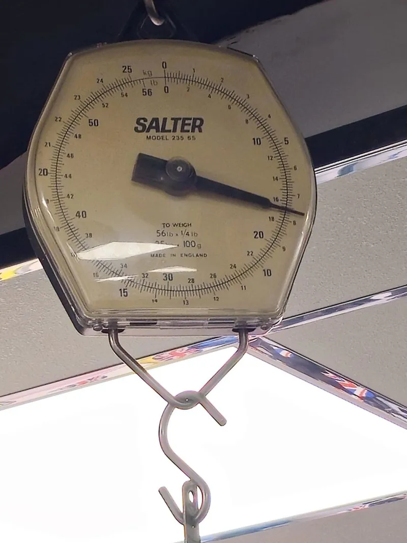 Merida Scultura 9000 SRAM Force eTap Road Bike In Gold 2025 Size XL Only One Left-2