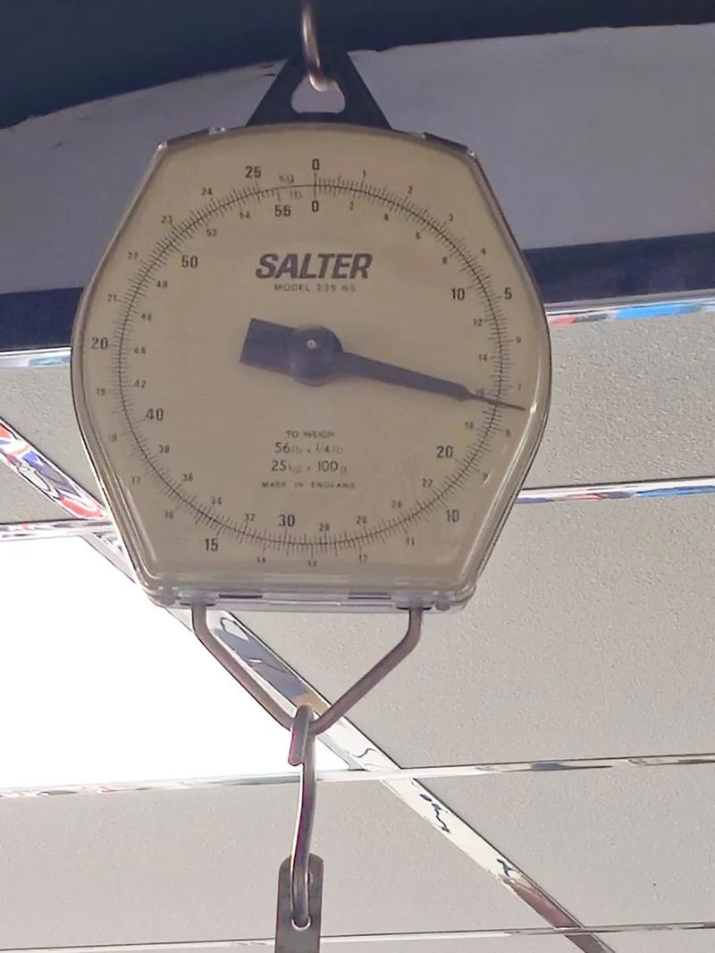 Bianchi Specialissima Pro Ultegra Di2 Carbon Road Bike 2024 - Celeste  Carbon-2