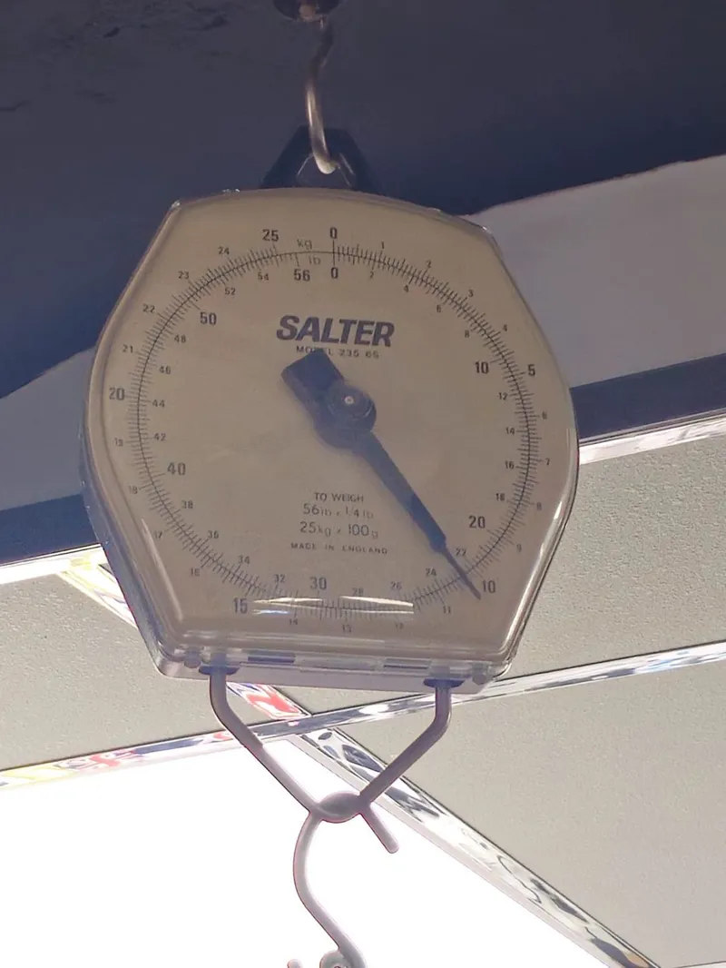 Genesis Croix De Fer Ti Titanium Gravel Bike Size XL-2